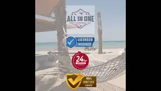 All In One Pest Control Toronto