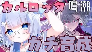 【鳴潮/wutheringwaves】初見さん歓迎！カルロッタガチ育成していく！アドバイスもください✨【#vtuberjp 】