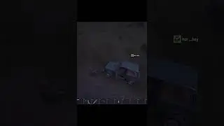 Scum Bugs Are Fun