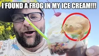 I Found A Frog In My Ice Cream!!! 🐸🍦