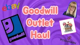 Goodwill Outlet Bins Haul July 2025