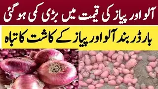 Patato Alo Latest price today/Piaz onion.Latest Price Today In Pakistan 