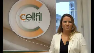 RTDS Group in the Spotlight: Meet CELLFIL Partners
