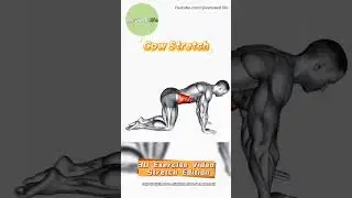 Title：3D Exercise Video Stretch Edition &rarr;Cow Stretch