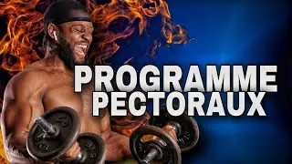 PROGRAMME PECTORAUX MAISON HARD (avec halt&egrave;res)