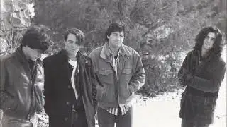 The Hannibals - Harbor in the Shine (1990)