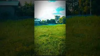 a hora Maya call ringtone #nature #sad #shorts #call #love #gram #local #shorts #cricket #alone
