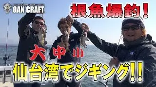 【 ジギング 】コソジグ爆釣！仙台湾の根魚ジギング！