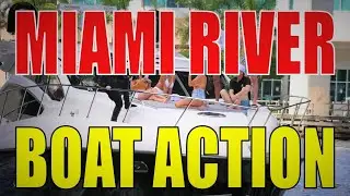 MIAMI RIVER BOAT ACTION | Boats on the Miami River