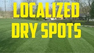 How To Fix DRY SPOTS in your lawn