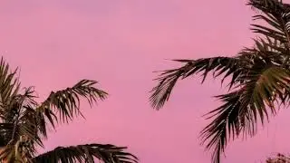 Best Part// Daniel Caesar ft.Dara Andina