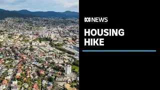 Tasmania's housing market is showing no signs of slowing | ABC News