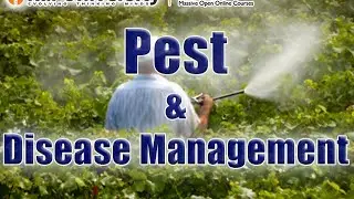 Pest & Disease Management - Basics of Gardening