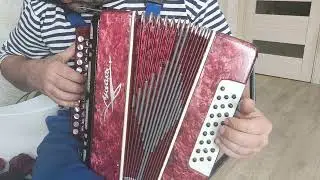 Чаечка-ракета, шуйская гармонь