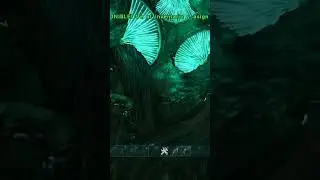 Este SPOT INRAIDIABLE casi NADIE lo conoce ARK PVP #ark #arkpvp #arksurvivalevolved #shorts