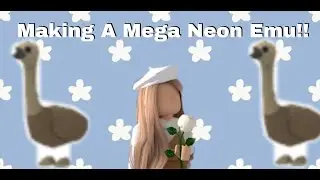 Making A Mega Neon Emu!