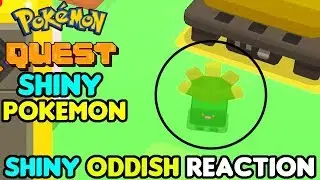 Shiny Oddish Live Reaction! Pokemon Quest Shiny Pokemon