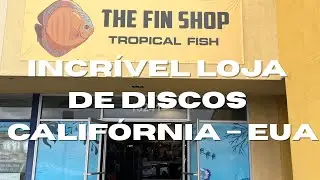 ACAR&Aacute; DISCO NOS EUA! 🇺🇸
