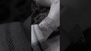Тату с лапкой любимого питомца #shorts #tattoo #cat #animals #тату #кошка #животные