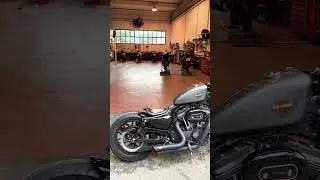 CUSTOMIZED BY ME, HARLEY DAVIDSON SPORTSTER ROADSTER 1200 (bobber style)