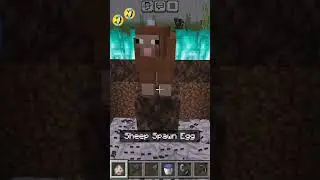 Minecraft ha ha funny🤣🤣🤣 #Minecraft shorts #Toxicplayer# #cladplayer605#