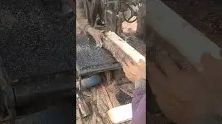 kayu tahu  #mahoganywood #sawmillkayu #woodworking #sawmillkeliling #sawmillrakitan