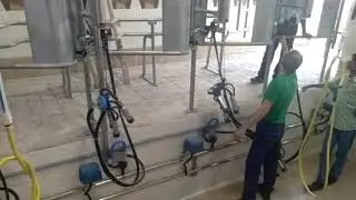 Delmer &ndash; Milking Parlours Setup | Automated Dairy Farming Solutions