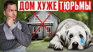 Не заводи собаку в частный дом | Мнение кинолога