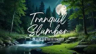 【nighttime routine】Tranquil Slumber: Calming BGM for Better Sleep