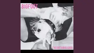I've Got a Bulldog