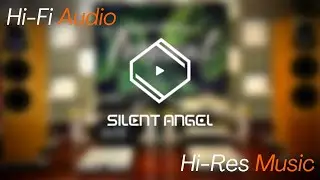 Silent Angel Hi-Fi Product Overview
