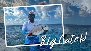 African Pompano caught off the shore 