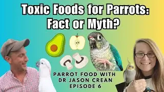 Toxic Foods for Parrots - Fact or Myth? | Parrot Food With Dr Jason Crean Episode 6 | BirdNerdSophie