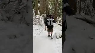 Hiking down St Marks Cypress 2020