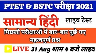 Hindi Important Questions | Ptet classes for 2021| Bstc 2021