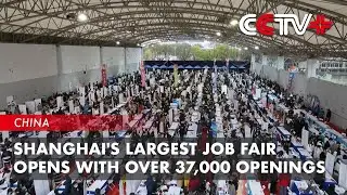 Shanghai's Largest Job Fair Opens with over 37,000 Openings