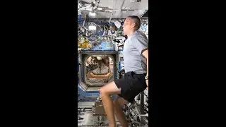 Where Does Sweat Go In Space? NASA Astronaut On Running in Low Gravity