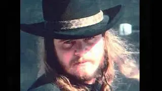 Lynyrd Skynyrd's Last Flight    Jerry Skinner Documentary