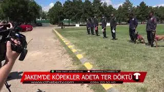 JAKEM'de Köpekler Adeta Ter Döktü