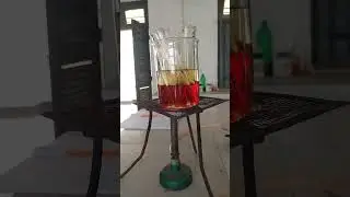Heating The Test Tube Sample On Burner 🧪🌡️🔍 Determination Of Reducing Sugar From Tomato #lab #burner