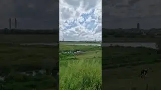 Enchanting Waal River Dike Views in Waardenburg
