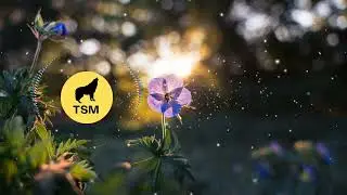 Sam Day, Dust of Apollon   Take You Home NCS Release