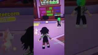 opening 40 overlook bay pet pod's