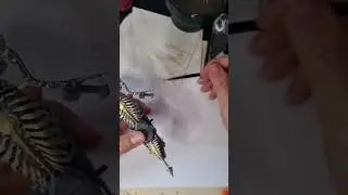 Ghost Rider 4 #ghostrider #miniature #3dprinting #airbrush #miniatures