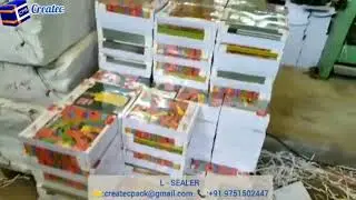 Notebooks Packaging Machine - Semi Automatic  L SEALER | Notebook Bundle Packing Machine