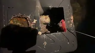 MANGILAW / MA-NUH | Ting TV