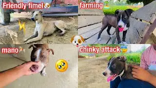 friendly fimel❤️‍🔥🥰#please #like