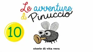 Pinuccio the fly va in lavanderia