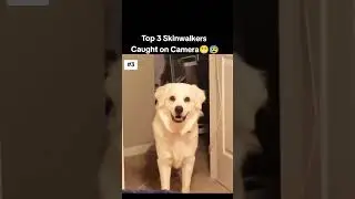 Top 3 Skinwalkers Caught on Camera 😱 #Skinwalker #CaughtOnCam #CreepyShorts