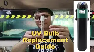 UV Bulb Replacement Guide - Tips and Tricks 3